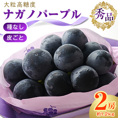 厳選!濃厚大房ナガノパープル　秀品　2房(約1.2kg)【配送不可地域：離島】【1234911】