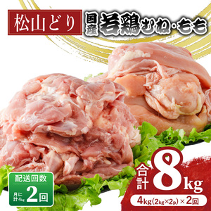 【定期便2回】松山どり むね 2kg×1パック もも肉 2kg×1パック ×2回 計8kg 鶏肉鶏肉鶏肉【BJ018】
