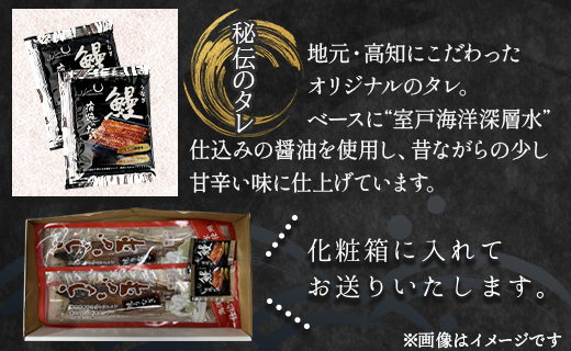 うなぎ蒲焼き 国産 鰻 2尾 100～120g 高知県産養殖うなぎ蒲焼き セット 1万円以上 10000円以上 fb-0142