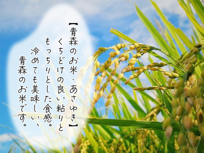 【数量限定】青森県鰺ヶ沢町【令和6年産・新米】 あさゆき〔玄米〕30kg（30kg×１袋）　※令和6年10月下旬頃から順次出荷予定