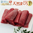 天然マグロ赤身 1kg 老舗三崎まぐろ問屋から直送