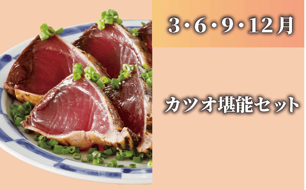 ＜3月・6月・9月･12月にお届け＞指宿 カツオ堪能セット