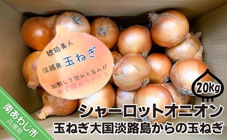 淡路島極熟玉葱　シャーロットオニオン【20kg】　玉ねぎ大国淡路島からの玉ねぎ