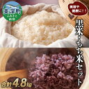 【ふるさと納税】美深町産 黒米 もち米 セット 計4.8kg (黒米200g×4袋、もち米1kg×4袋) 北海道産 国産 お米 黒米 もち米 小分け 玄米 雑穀米 古代米 ご飯 ごはん　【美深町】