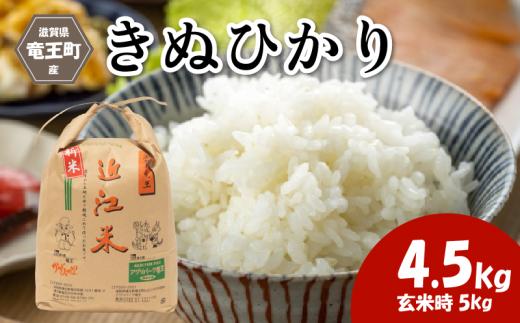 令和7年産米 キヌヒカリ 精米 4.5kg ※玄米時 5kg 環境こだわり米 お米 おこめ きぬひかり 2025年産 米 化学肥料不使用 特別栽培米 甘み キラキラ つややか 炊飯器 国産 近江米 贈り物 ギフト プレゼント 農家応援 人気 農家直送 産地直送 滋賀県 竜王町 ふるさと納税
