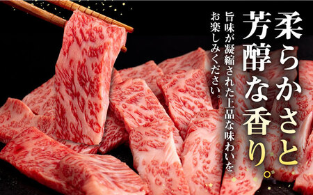 壱岐牛 焼肉用 モモ・バラ（カルビ） 500g《壱岐市》【株式会社イチヤマ】[JFE058] 19000 19000円 モモ モモ肉 焼肉用モモ 焼肉モモ 赤身モモ 赤身 焼肉用 赤身ステーキ モモス