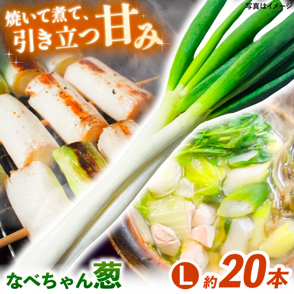 【ふるさと納税】【先行予約】【2025年11月発送開始】焼いてそのまま美味しい！なべちゃん葱 秀品 Lサイズ5kg（500g×10袋）約20本 ねぎ ネギ 島根県雲南市/山さんファーム[AICO001]