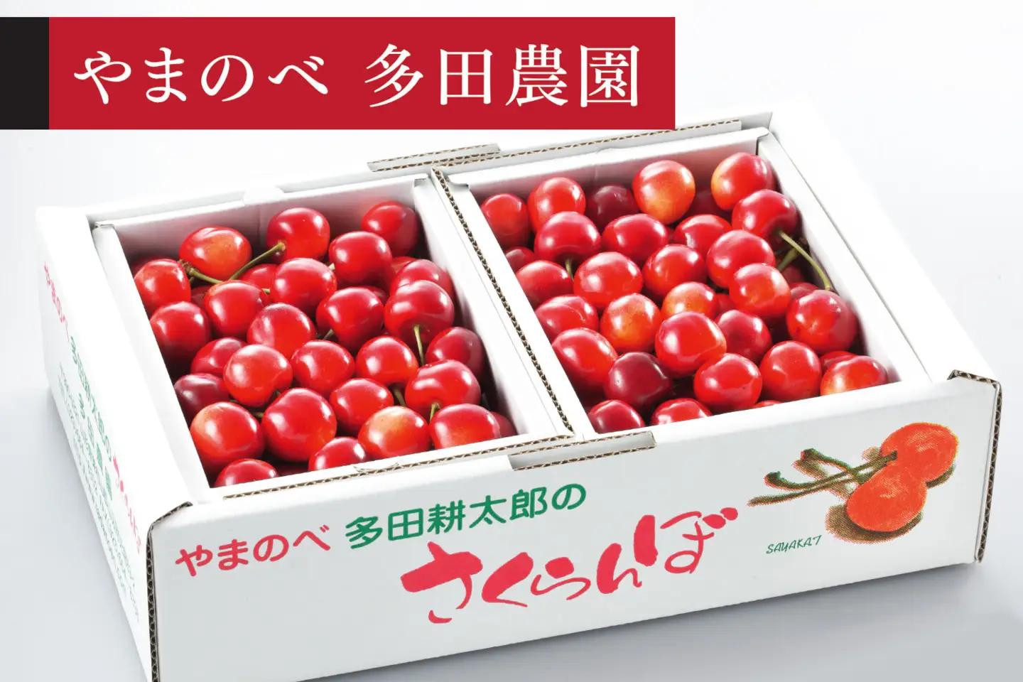 《先行予約》2026年 山形県産  さくらんぼ「真夏のルビー紅姫」バラ詰 1kg やまのべ多田耕太郎のさくらんぼ tn-bhxbp1000