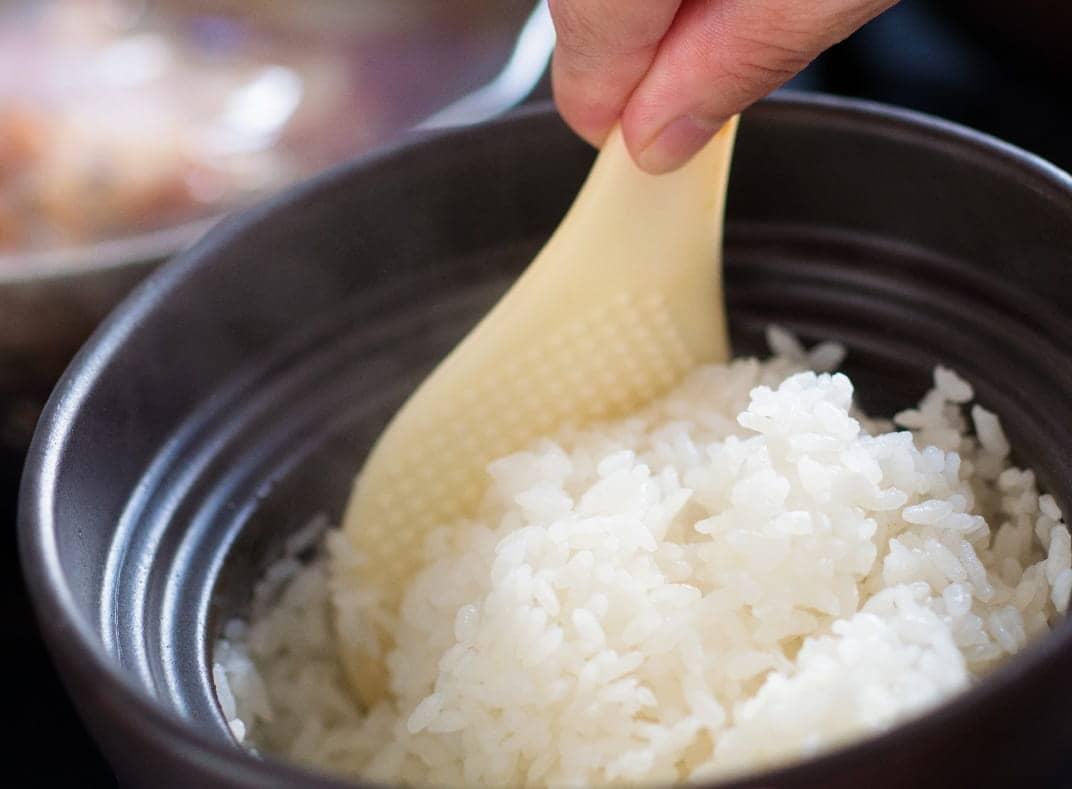 【3ヶ月定期便】※毎月20日頃発送※【令和6年産】宮崎県産こしひかり「シタギリ米」5kg×2 【 お米 新米 2024年産 定期便 全3回 】