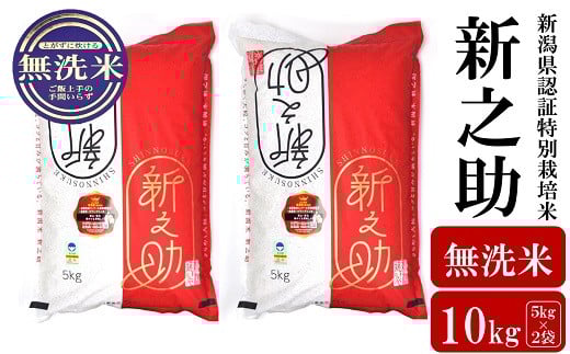 【令和7年産米】新之助 無洗米 10kg（5kg×2袋）新潟県認証特別栽培米 お米 新潟県産 アグリーホンマ[Y0538]