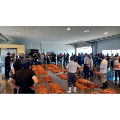 紅ズワイガニ2kg(足とれ含む)【配送不可地域：離島・北海道・沖縄県】