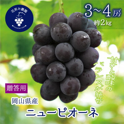 【ふるさと納税】【2026年先行予約】岡山　花笑み農園の『ニューピオーネ』贈答用　約2kg(3～4房)　P-2上_ ニューピオーネ 贈答用 2kg ぶどう 大粒 ギフト フルーツ 果物 送料無料 岡山県 津山市 【配送不可地域：離島・北海道・沖縄県】【1627358】