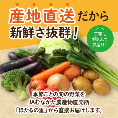 ふるさと納税 宗像市 むなかた旬のお任せセット(野菜) 7〜9品【JAほたるの里】_HA1569 |  | 01