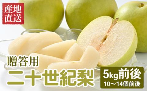 【先行予約】【贈答用】 二十世紀梨 5kg前後 (10個～14個前後) 鳥取県産 梨 なし ※着日指定不可 ※2024年8月下旬～9月中旬頃に順次発送予定