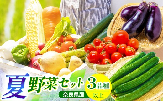 【先行予約】御杖村産 夏野菜セット3種類以上 | ミニトマト ナス きゅうり 夏野菜セット 旬 先行予約 奈良県 御杖村 みつえむら