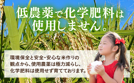 【先行予約】【令和7年産】定期便 ≪3ヶ月連続お届け≫ 化学肥料不使用 特別栽培米 虹のきらめき 精米 5kg × 3回（合計15kg） / 白米 米 福井県あわら市産 美味しい 特別栽培米 減農薬 
