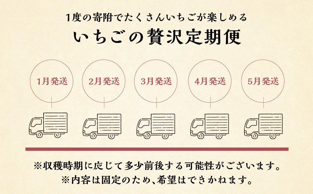 【定期便5回】【2027年1月より発送開始】 しあわせ苺 品種おまかせ 1kg ( 250g × 4p ) 自宅用 サイズ バラバラ 訳あり 訳アリ 含む 農園直送 フルーツ 苺 イチゴ 人気 本巣市