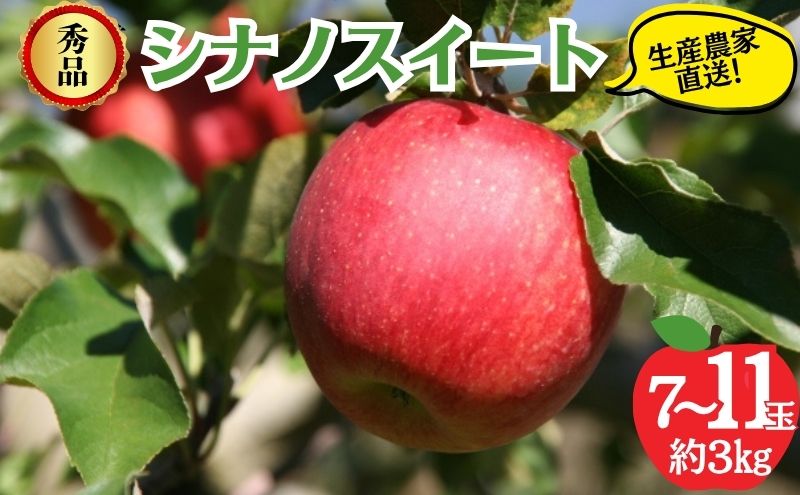 シナノスイート 秀品 約3kg 7～11玉 りんご 果物 信州 長野