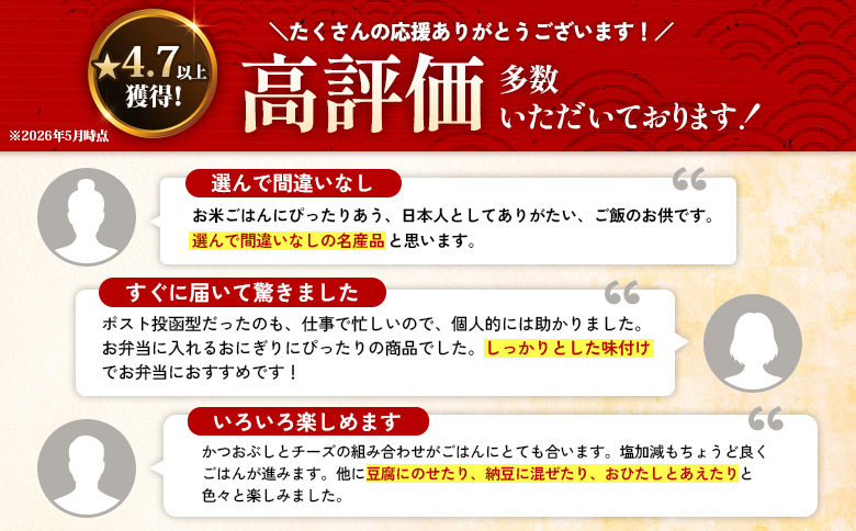 【定期便：全5回】 オルソン おむすび専門店 チーズおかか 45g 12袋 オンライン 申請 ふるさと納税 北海道 恵庭 チーズ おかか おむすび おにぎり ご飯のお供 お弁当 おつまみ 酒のつまみ 