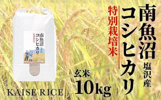 
南魚沼産塩沢コシヒカリ【従来品種】（特別栽培米８割減農薬）玄米１０ｋｇ
