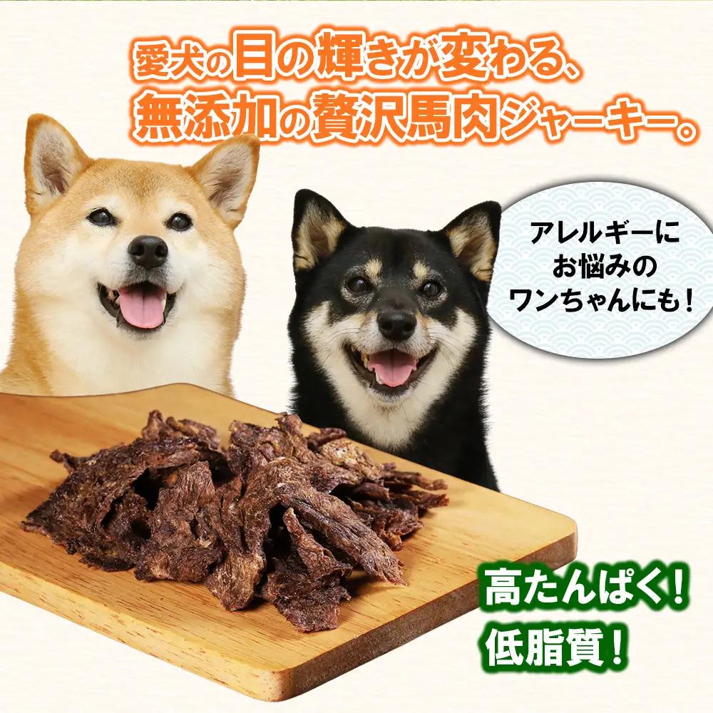 【定期便2回】ペット用馬刺しジャーキー100g