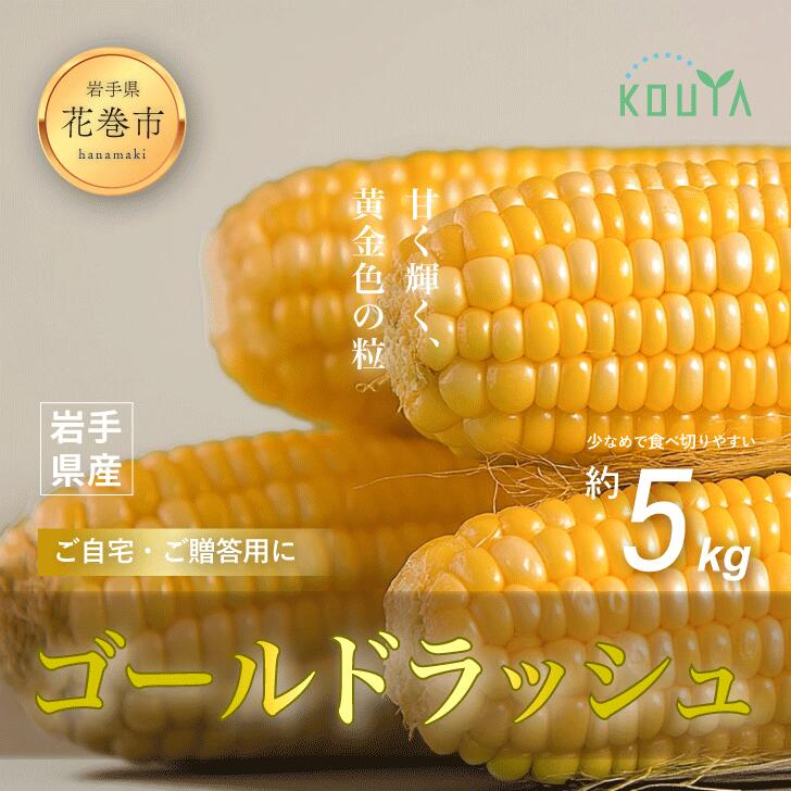 【ふるさと納税】 《先行予約》 岩手県産 耕野のとうもろこし 「ゴールドラッシュ」 約5kg（10〜15本） スイートコーン 農家直送 6月下旬より発送開始