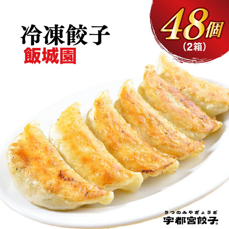 【ふるさと納税】【飯城園】餃子24個入り×2箱｜餃子 ぎょうざ ギョウザ ギョーザ 冷凍食品 冷凍餃子 惣菜 夜ご飯 おかず おつまみ 手軽 時短 お取り寄せ グルメ 送料無料 栃木県 宇都宮市