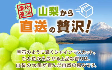 山梨市 シャインマスカット1房(500g以上) 化粧箱入り【配送不可地域：離島・沖縄県】【1505235】