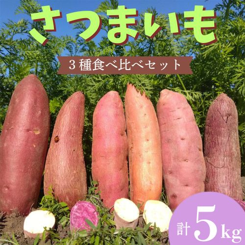 【ふるさと納税】さつまいも食べ比べセット5kg 季節限定 さつまいも サツマイモ 冬限定 焼き芋 スイートポテト 安納芋 土佐紅 シルク スイート 紅はるか ふくむらさき 産地直送/高知県 奈半利町