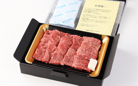 【家計応援 期間限定】飛騨牛赤身焼肉セット 600g（もも焼肉 300g・かた焼肉 300g）焼肉 焼き肉用 飛騨牛 赤身 最高級 国産 牛肉 ブランド牛 和牛 焼き肉 ギフト 贈答 【冷凍】【22-