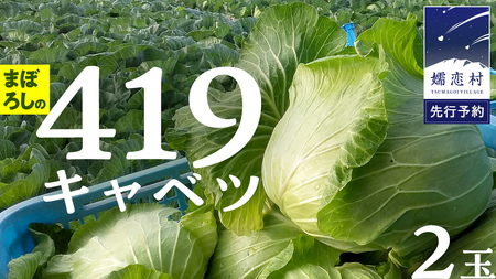 まぼろしの419キャベツ 2玉 きゃべつ 嬬恋村産キャベツ 羽生田売店 幻のキャベツ419 産地直送 期間限定 人気 朝採り 通販 お取り寄せ 関東 群馬 出荷時期限定 [AL014tu] 