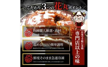 ハンバーグデミシチュー　220g×5食セット　(総重量1.1kg)_mk146-154