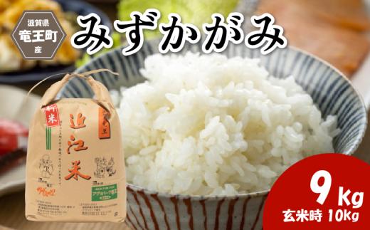 令和7年産米 みずかがみ 精米 9kg ※玄米時 10kg 環境こだわり米 お米 おこめ ミズカガミ 水鏡 2025年産 米 化学肥料不使用 特別栽培米 甘み キラキラ つややか 炊飯器 国産 近江米 贈り物 ギフト プレゼント 農家応援 人気 農家直送 産地直送 滋賀県 竜王町 ふるさと納税
