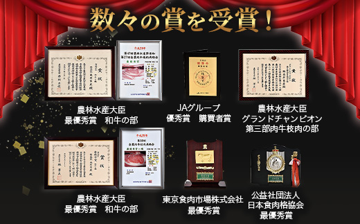 A5等級 佐賀牛 厳選部位 400g しゃぶしゃぶ すき焼き用 B-558