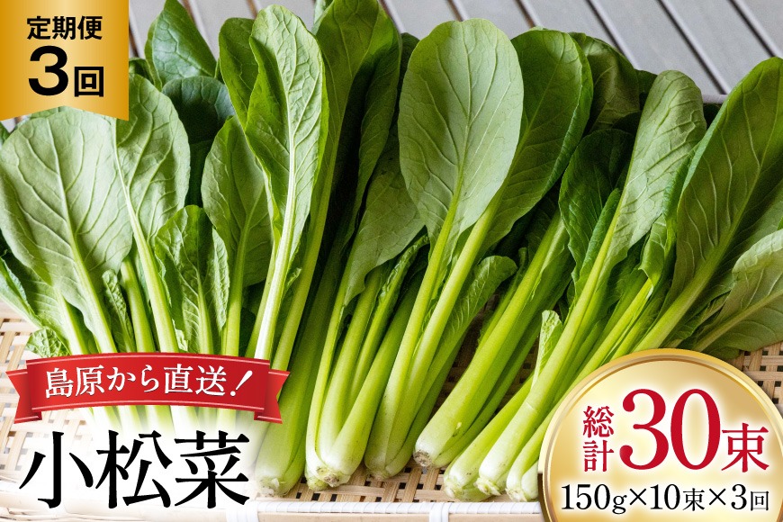 BI329 定期便 3回 小松菜 10束 [ 野菜 こまつな やさい 冷蔵 葉物野菜 田中農園 長崎県 島原市 ]