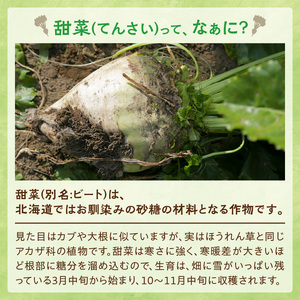 【隔月3回定期便】ホクレンの上白糖1kg×10袋【 てん菜 北海道産 砂糖 お菓子 料理 調味料 ビート お取り寄せ 北海道 清水町 】_S012-0035