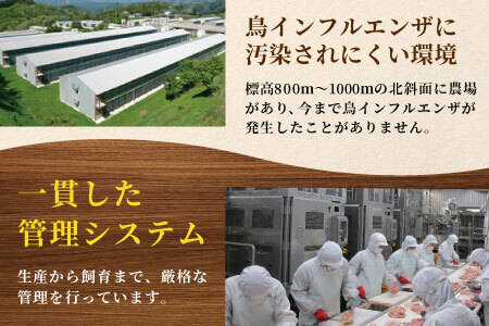 愛知県産 銘柄鶏 奥三河どり 半羽 小分け 約0.9ｋｇ 鶏肉セット 冷凍 生 生鶏 チキン クリスマス パーティー バーベキュー BBQ アウトドア キャンプ ダッチオーブン チキン 鶏肉 鶏 高品