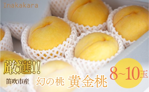 
                  Inakakara厳選!幻の桃「黄金桃」 8～10玉(計2.6～2.7kg) 192-036-26y
                