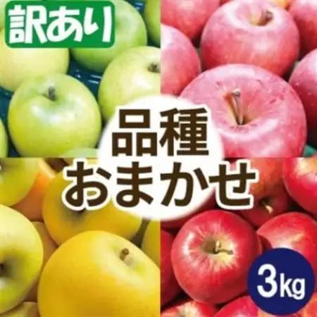【10月～11月出荷】りんご 品種おまかせ 約3kg 訳あり【配送不可地域：離島・沖縄県】【1668105】