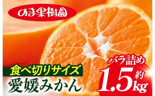 ＼特別寄附額実施中！／【先行予約】愛媛みかんバラ詰め（1.5kg）[K003670K1] 人気商品 国産 高級フルーツ 人気商品 みかん 柑橘 フルーツ 果物 乃万青果 のま果樹園 温州みかん