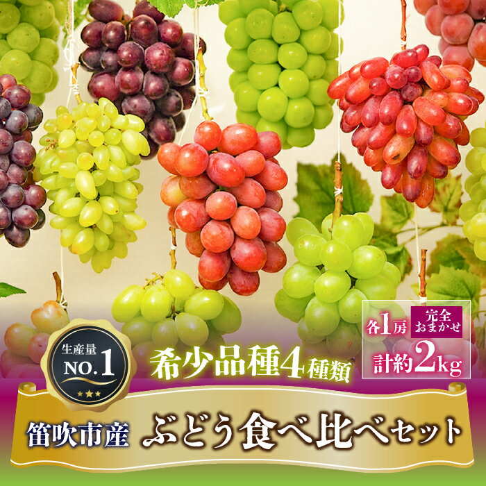 【ふるさと納税】＜25年発送先行予約＞ 希少品種 ぶどう 食べ比べセット全4種類 各1房 計約2kg《数量限定/楽天限定》（品種はお選びいただけません） クール便 山梨県 笛吹市 おすすめ ランキング ぶどう ブドウ 葡萄 果物 フルーツお中元 贈答 ギフト高評価 ご褒美 203-011