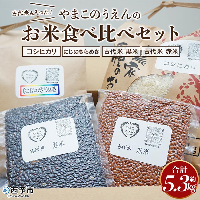 【ふるさと納税】新米＜古代米も入った！お米食べ比べセット＞令和7年産 お米 コメ ご飯 穀物 こしひかり コシヒカリ にじのきらめき 古代米 黒米 赤米 4種 詰め合わせ 食べ比べ 計5.3kg 特産品 やまこのうえん 愛媛県 西予市【常温】『2025年9月上旬より順次出荷予定』