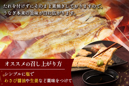 父の日対応「玄人の一品」うなぎ 白焼き ギフト 4尾（150～200g/1尾あたり）宮崎県産鰻 蒲焼きタレ付（50ml×2本）配送日指定可 国産 有頭 熨斗 贈答品【N56-25】