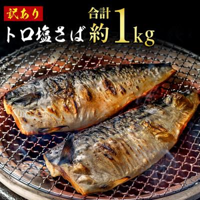 ふるさと納税 銚子市 トロ塩さば　1kg　訳あり