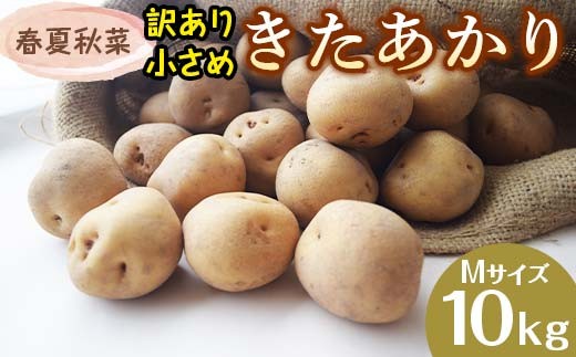 『春夏秋菜』訳あり 小さめ きたあかり Mサイズ 10kg 2026年9月より順次発送 じゃがいも ジャガイモ EB8-0201