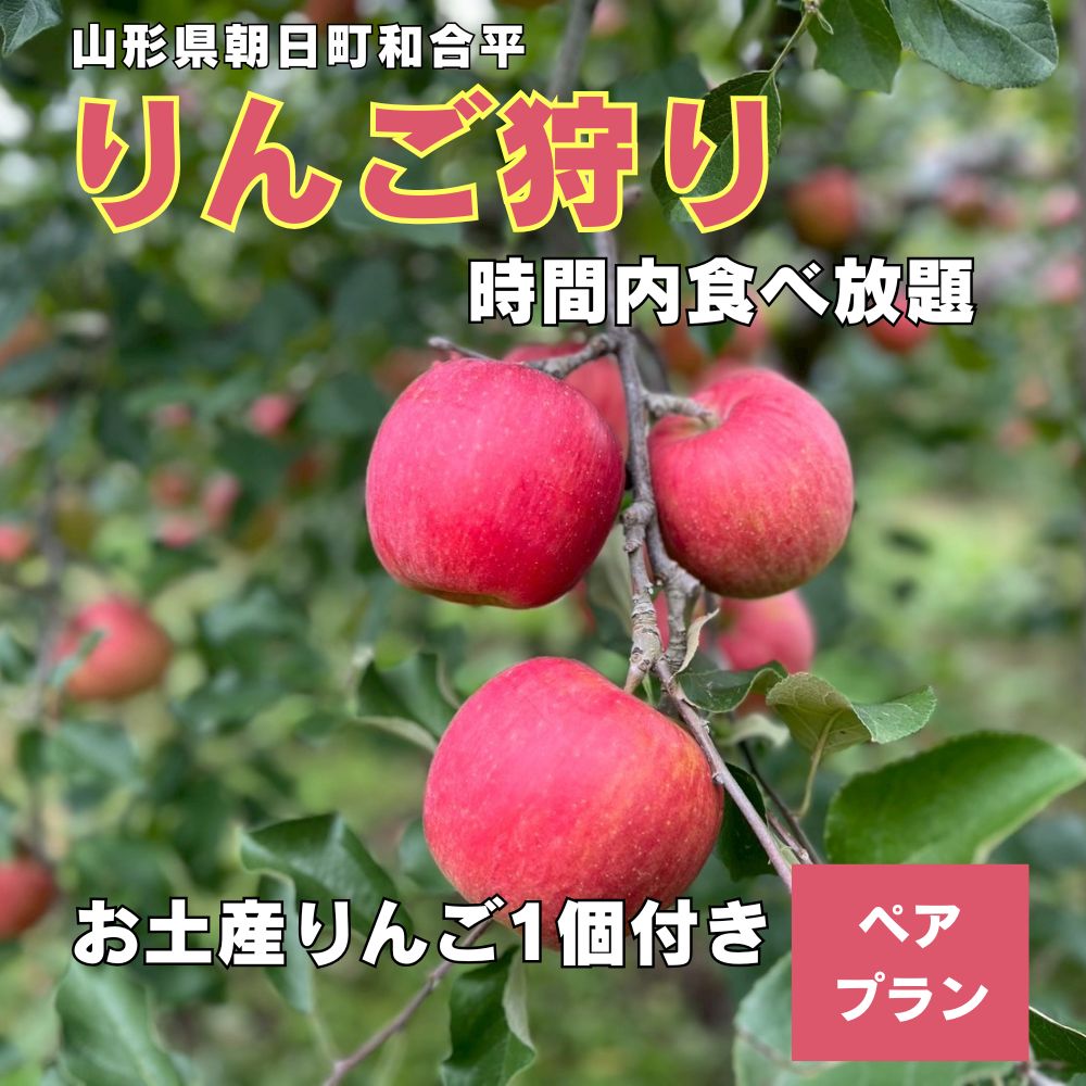 【ふるさと納税】りんご狩り体験(ペアプラン) りんご 収穫体験 2名様 60分 食べ放題 お土産付き 山形県 朝日町