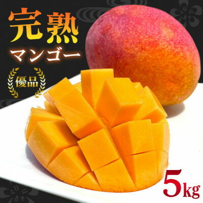 【ふるさと納税】【2025年6月～8月の発送】優品アーウィンマンゴー5kg(8～12玉)【配送不可地域：離島】【1584603】