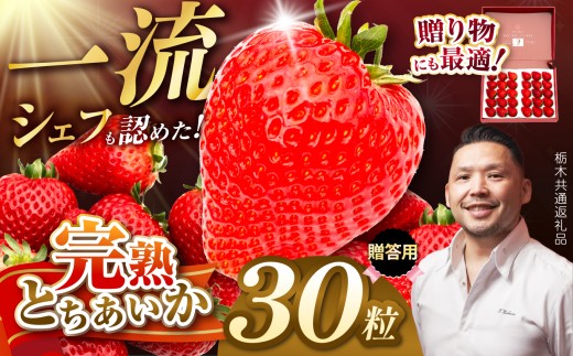 【栃木県共通返礼品】完熟とちあいか ギフトボックス 贈答用ボックス 30粒入 | とちあいか 完熟 果物 くだもの 果汁 果肉 高級 赤い いちご イチゴ iktigo 苺 品種 栃木県 那珂川町 送料無料