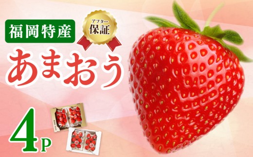 福岡産 あまおう いちご 270g×4パック 1080g
