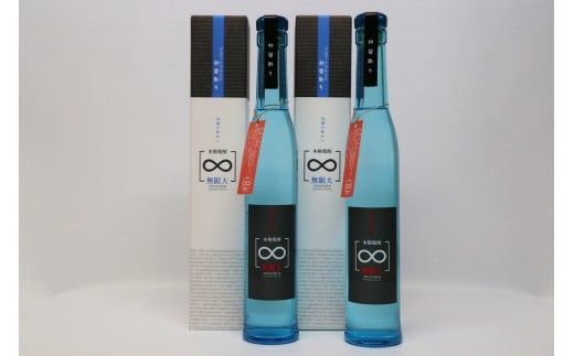 
            球磨焼酎　堤酒造　無限大 300ml×2本
          